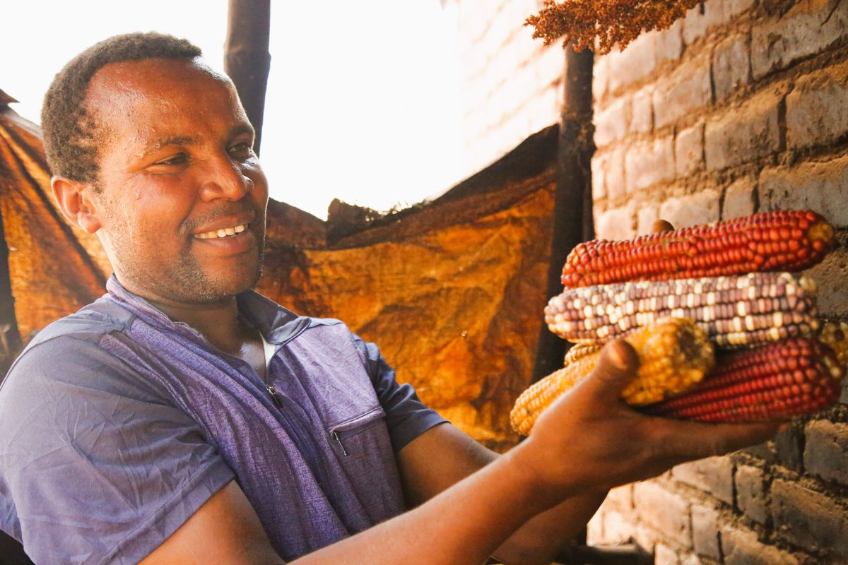 Men participate effectively in promoting local seeds.
#RWCCProject <a href="/CanadaDev/">Development Canada</a>