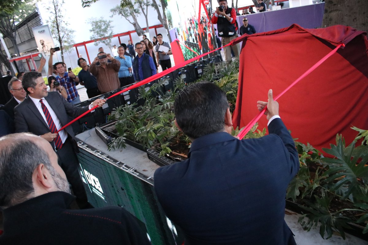 udegcucei's tweet image. 🎉 Hoy celebramos 75 años de historia y aprendizaje en #CUCEI, y 30 años de la #RedUdeG. En este marco conmemorativo, develamos una placa en honor al Lic. Raúl Padilla López, reconociendo su invaluable legado a la cultura y la educación. 📚✨