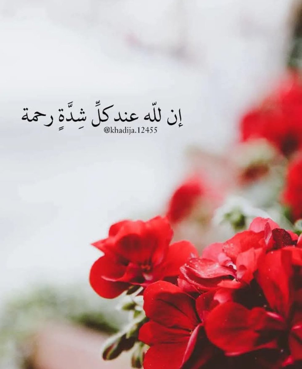 السلام عليكم ورحمة الله وبركاته ✋.