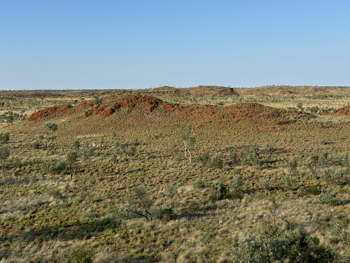 We have undertaken another biological survey at the Browns Range Dome  - this time across the border into the NT.  The findings from the survey help us better understand the local environment, so we can minimise disturbances as we progress the Browns Range project.
$NTU #ESG