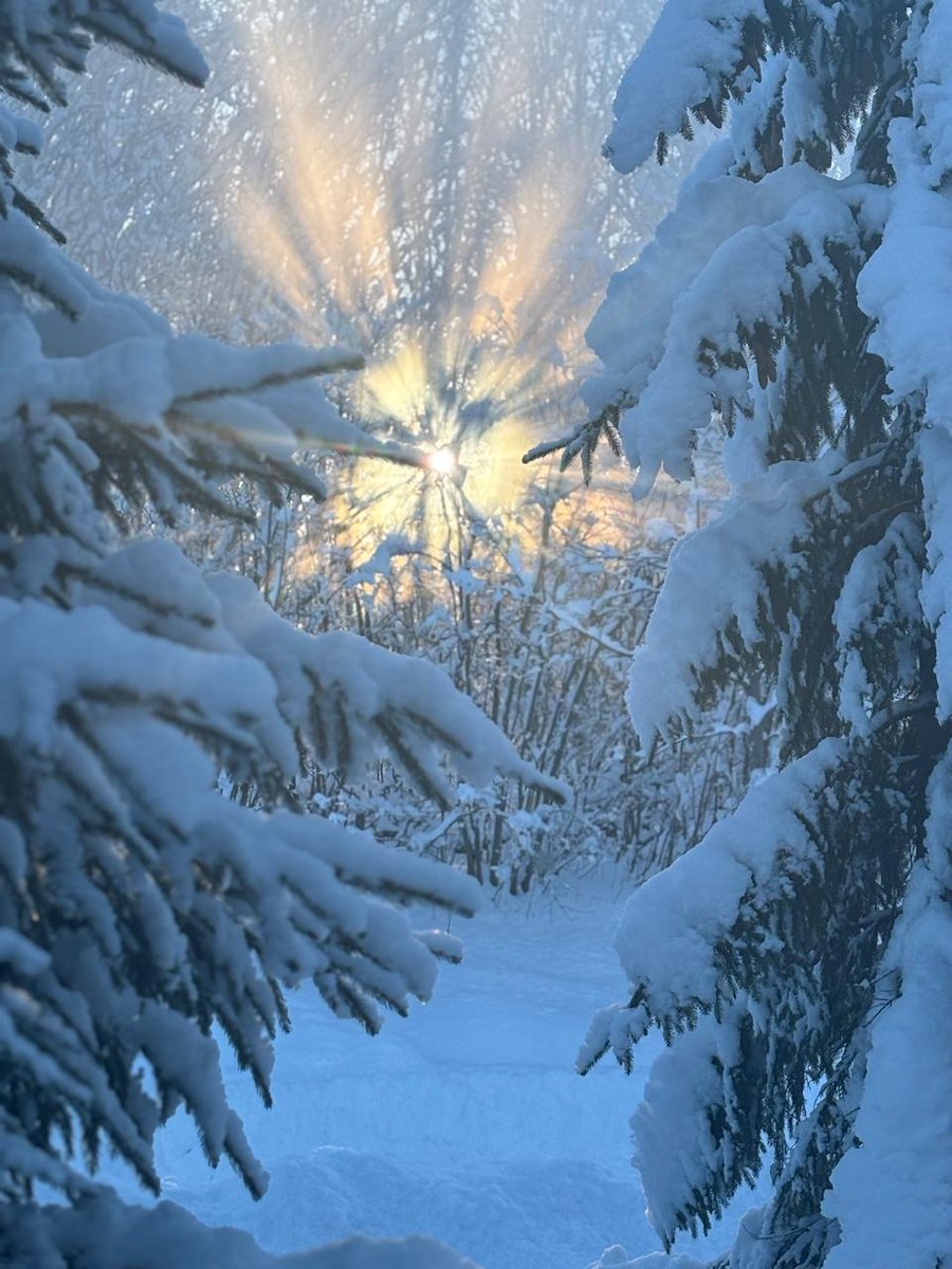 VisualeStudios's tweet image. 