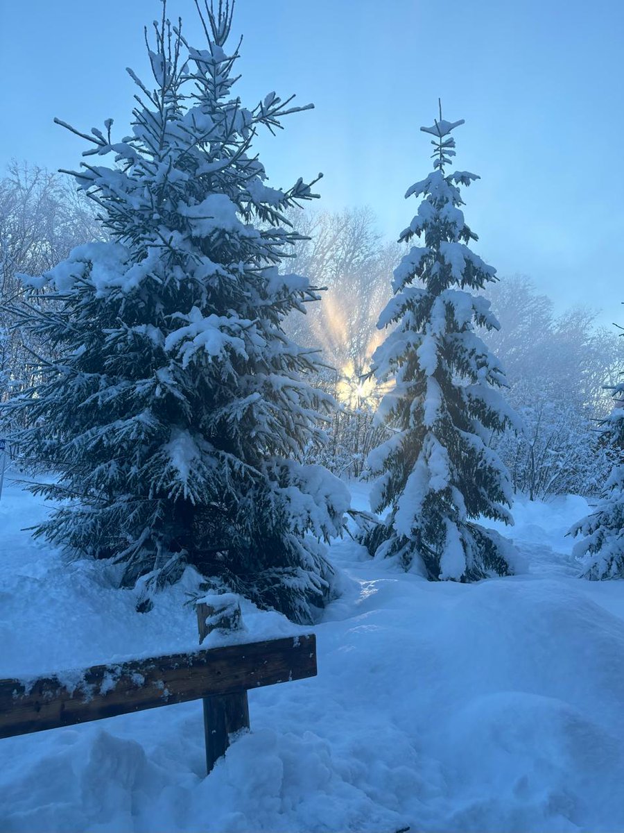 VisualeStudios's tweet image. 