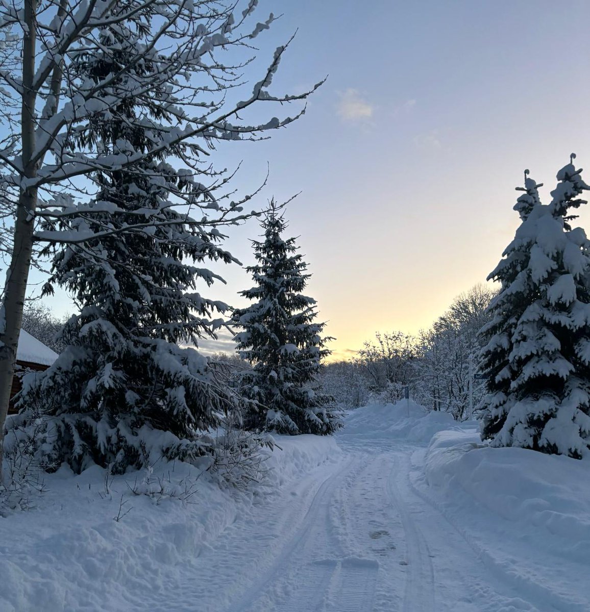 VisualeStudios's tweet image. 