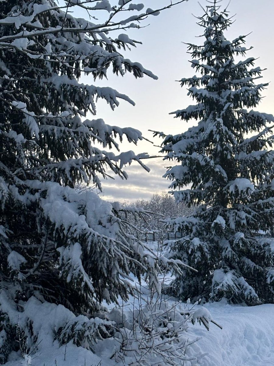 VisualeStudios's tweet image. 