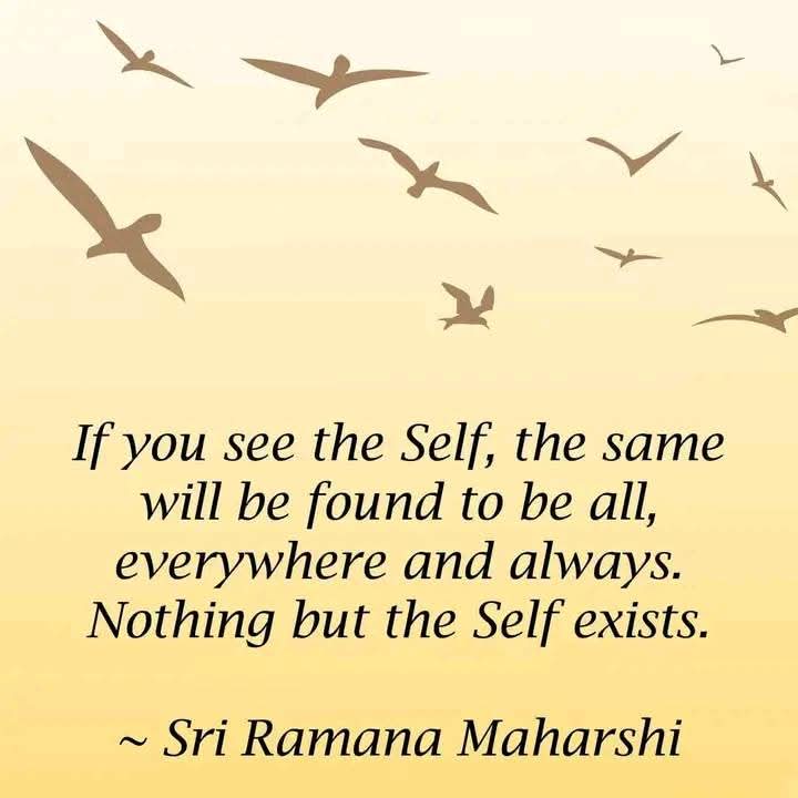 RobinDoctor's tweet image. 