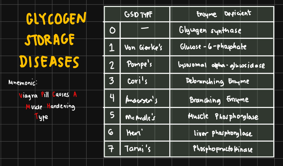 SephRPh2024's tweet photo. GLYCOGEN STORAGE DISEASES

Viagra Pill Causes A Muscle Hardening Type (pwede ding Tit* https://t.co/ufiBXJSFWX