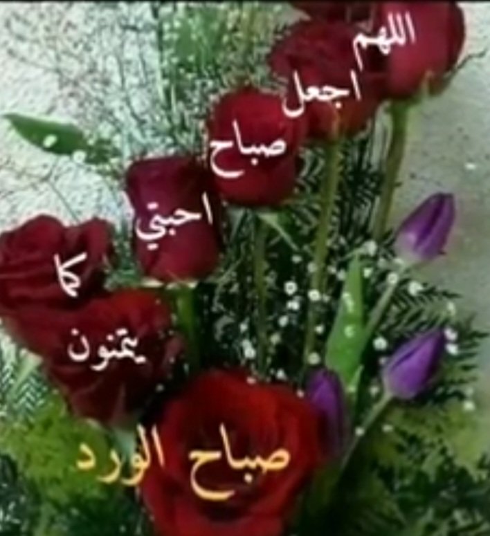 سيف السبيعي (@saif39828) on Twitter photo 
