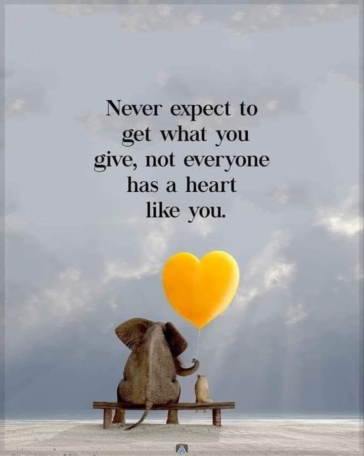 POSITIVITY (@positivitysaid) on Twitter photo 