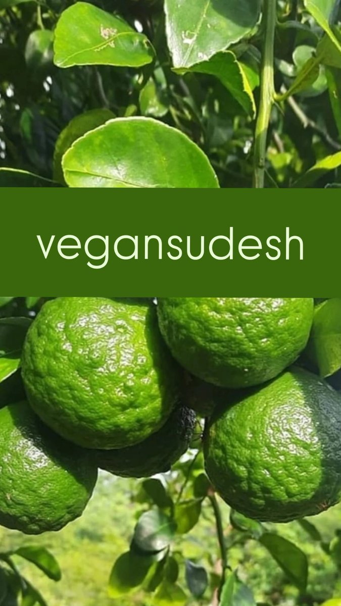 🍊 🍋 #CitrusFruits play a crucial role in preventing common #winterillnesses, primarily due to #VitaminC content, which enhances the #immunesystem by promoting the production of #whiteblood cells that combat #infections. 

☘️ #VEGANSUDESH
🏡 vegansudesh.com