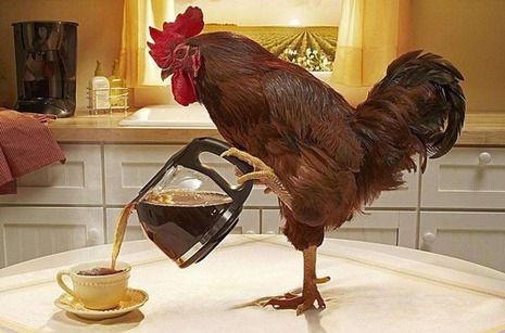 Want to wake up early?,
📌 Focus on waking up on time rather than sleeping on time.

By consistently getting up early, your body will naturally adjust, and you'll find yourself falling asleep earlier without much effort.

#TajTips #SleepTips #MorningLive