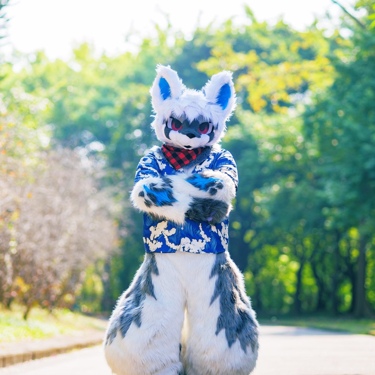 Waiting…

#FursuitEveryday #fursuit #furry