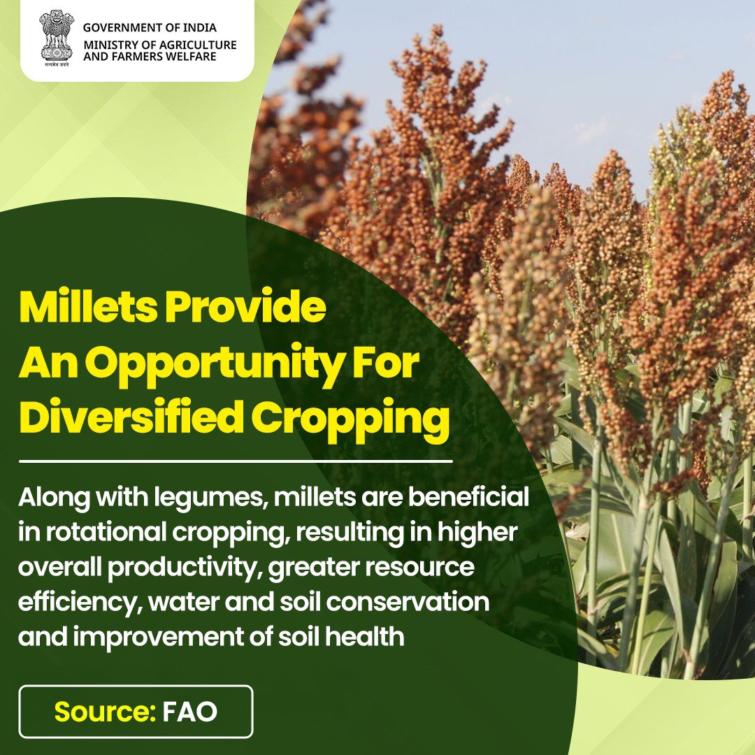 IYM2023's tweet photo. Integrating millets into cropping systems enhances soil health, stabilizes yields, and strengthens resilience to climate shocks.  

#IYM2023 #ShreeAnna #SoilHealth https://t.co/DdyFfhuys4