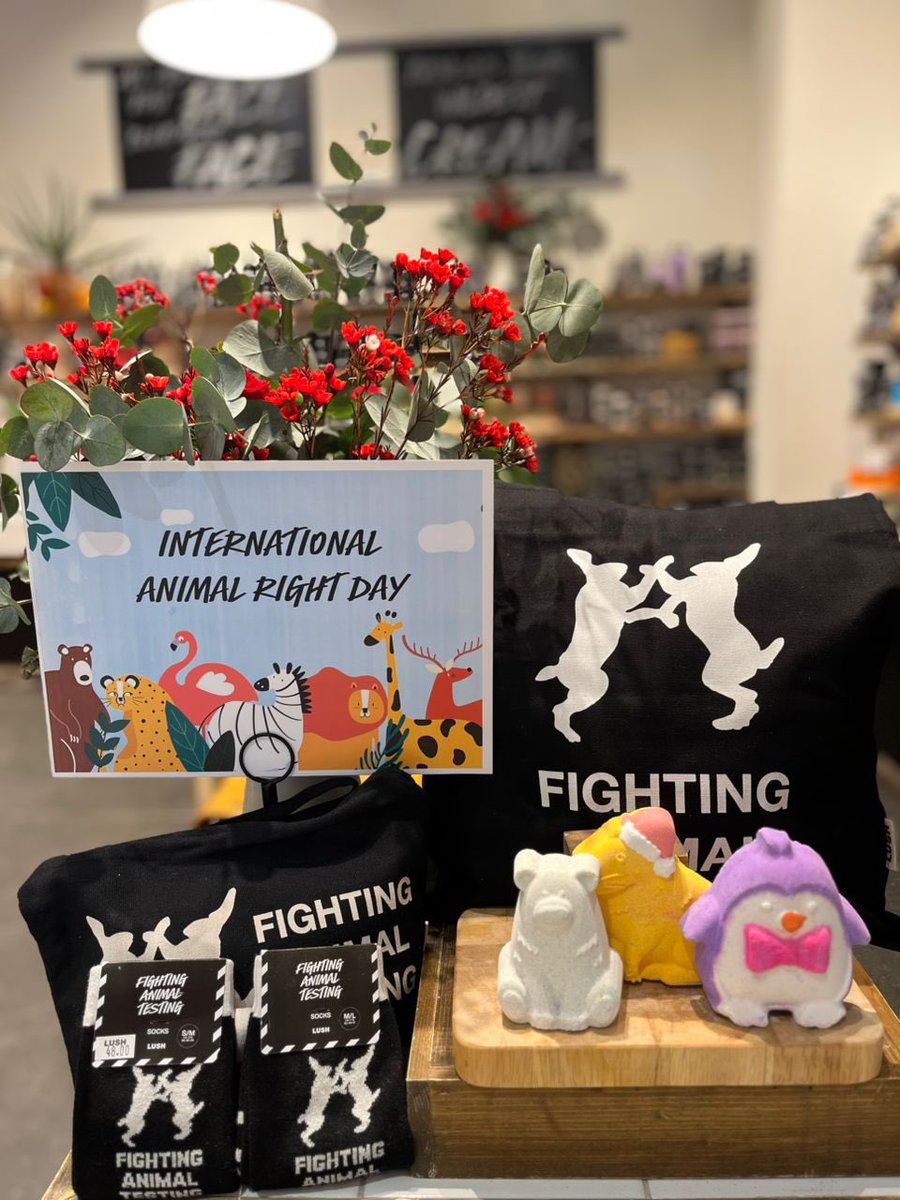 MalaysiaLush's tweet photo. Happy International Animal Rights Day! 🐾🌍

At Lush, we’ve fought animal testing since day one—it’s cruel, outdated, and irrelevant. 💚 Today, we honor the rights of all beings and commit to a kinder, cruelty-free world. Together, we can make a difference 🛑🐇

#AnimalRightsDay https://t.co/20bdh6i7vC