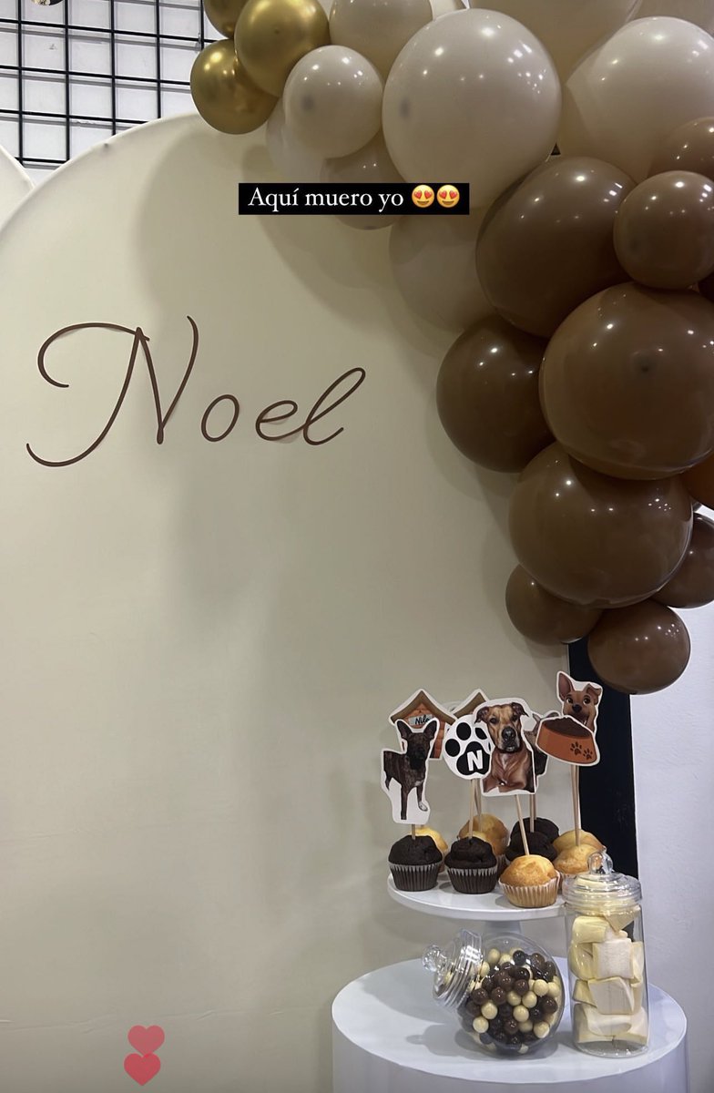 Sinceramente sigo en shock con la sorpresa de mi baby shower que la temática fuesen mis perros 🥹💙