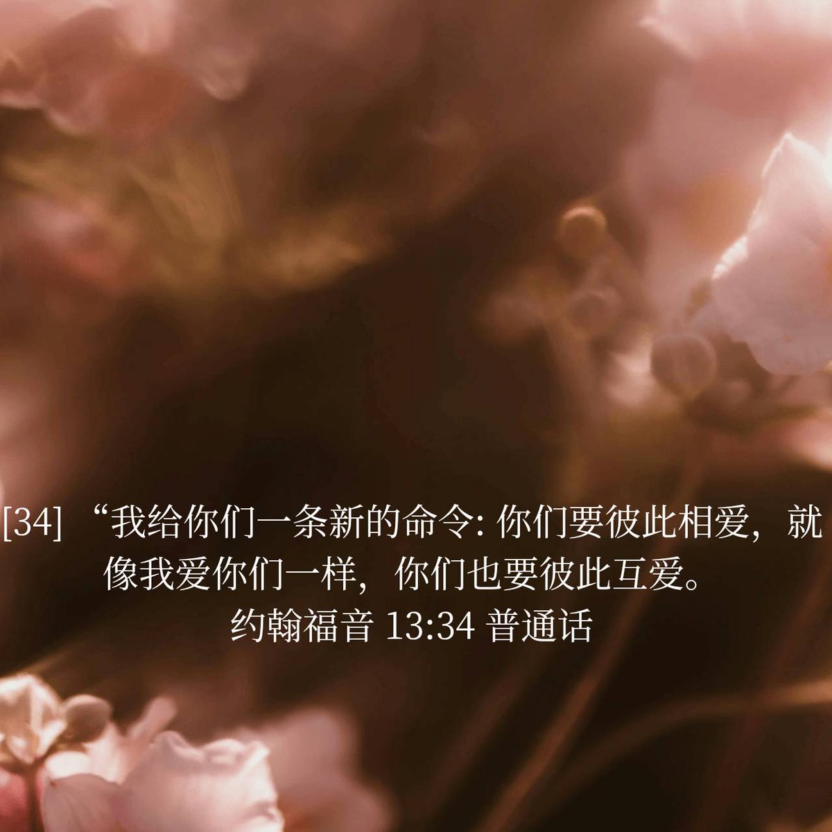 Jetfuchin1's tweet photo. 约翰福音 13:34 普通话
[34] “我给你们一条新的命令: 你们要彼此相爱，就像我爱你们一样，你们也要彼此互爱。 

https://t.co/QDwaQgCnh8 https://t.co/W1IKkln9on