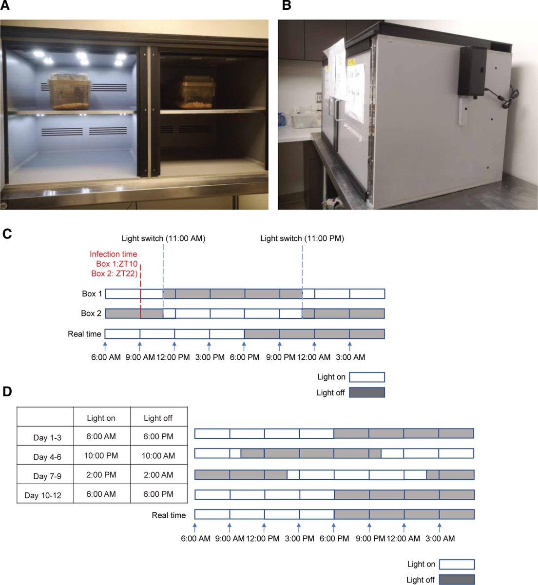 Immunometaboli2's tweet image. Protocol "Evaluating diurnal rhythms of host responses to enteric norovirus infection in mouse models" by Professor Zheng Kuang from Carnegie Mellon University journals.lww.com/immunometaboli…
