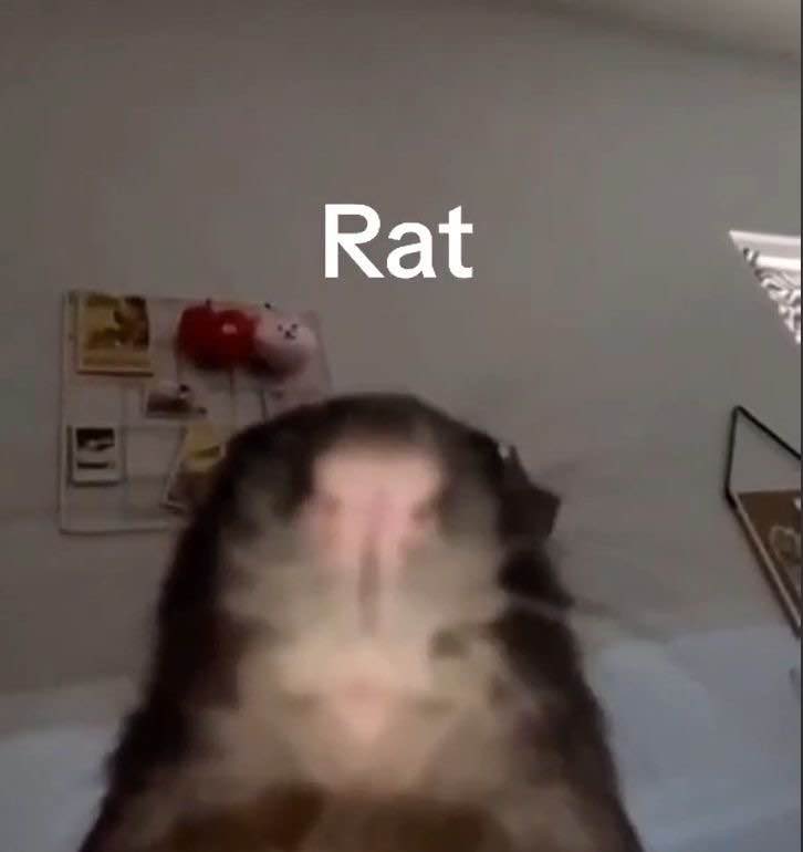 FighterDood's tweet photo. This image always encapsulated how I feel https://t.co/WIbE4GGFoP