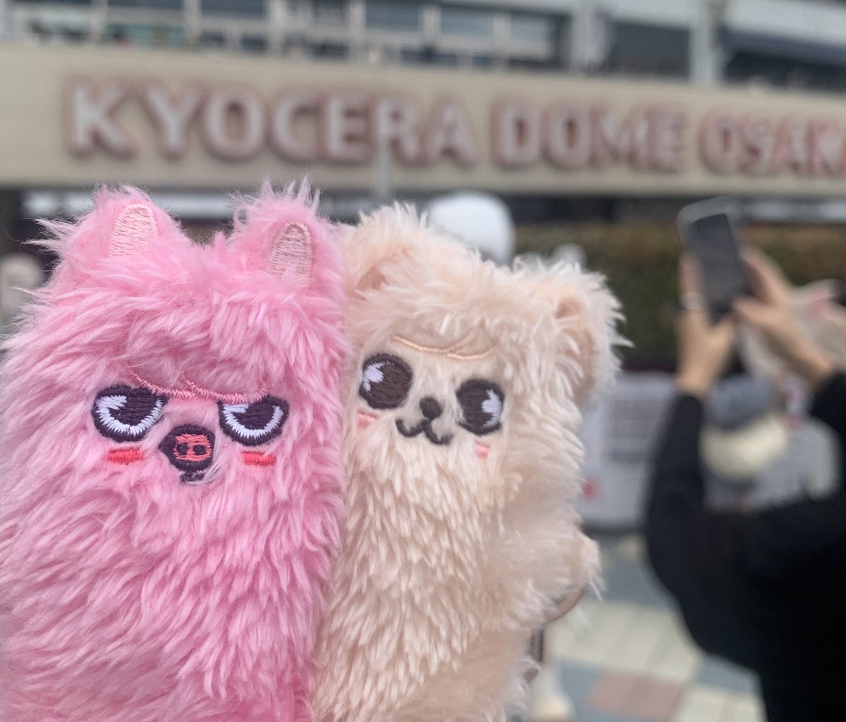 yeoru_AtZ00's tweet photo. 京セラも楽しかった(≧∇≦)
アリーナと初バルコニー！
最初の映像の大きいチャンビン見れへんかったの残念😭😭 https://t.co/XKwR5Wzaoo