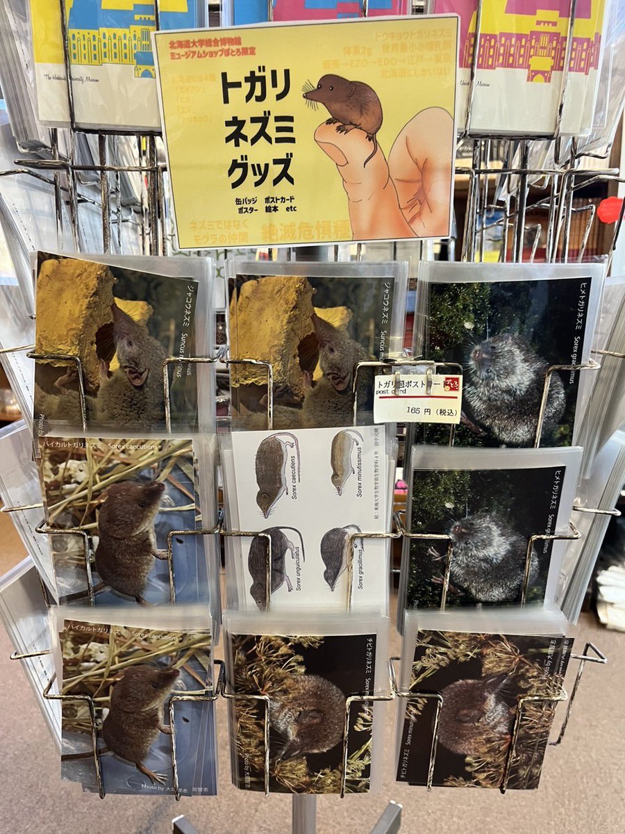 bokutogari's tweet photo. ミュージアムショップにはかわいいグッズたちも売っているのでぜひ！ https://t.co/DXkw0OqRbt