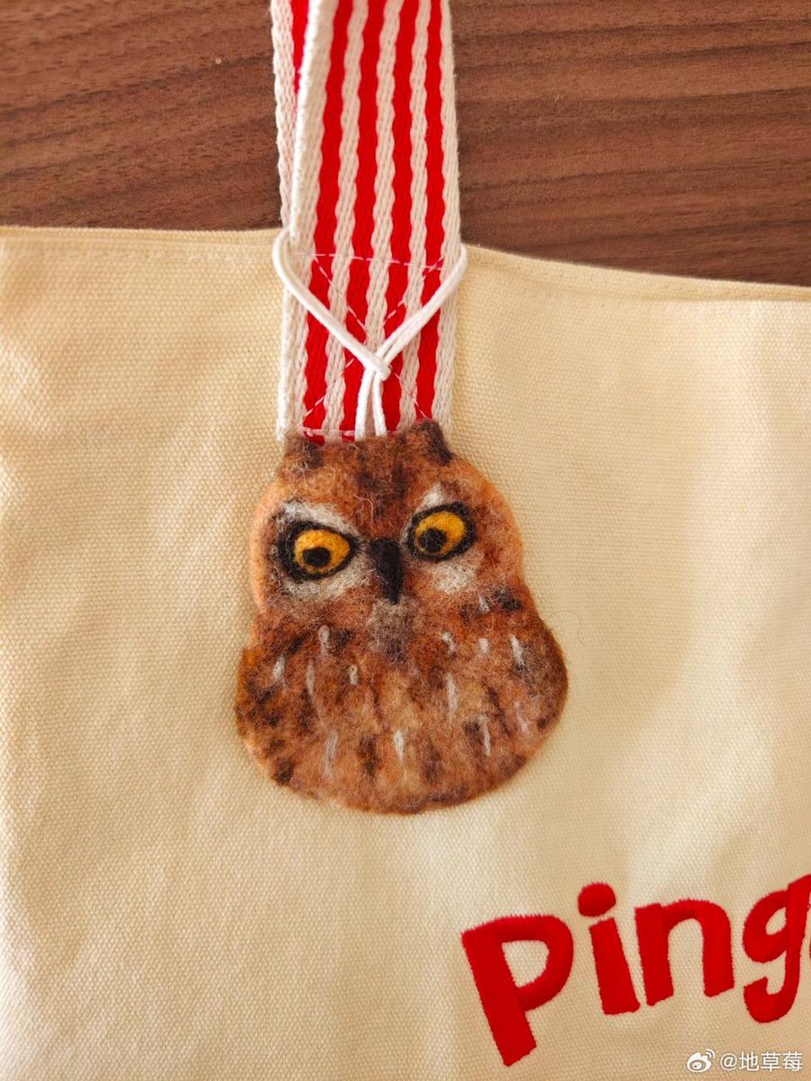 WilWoodStudio's tweet photo. Short-Eared Owl and Athene Noctua, paired with their felt creations—what do you think? 🦉✨

#HandmadeWithLove #OwlArt #ShortEaredOwl #AtheneNoctua #BirdInspiredCrafts #FeltArt #Kickstarter #BirdWatching #NatureInspired #SupportSmallCreators #WildlifeArt https://t.co/h5F9ND3nrK