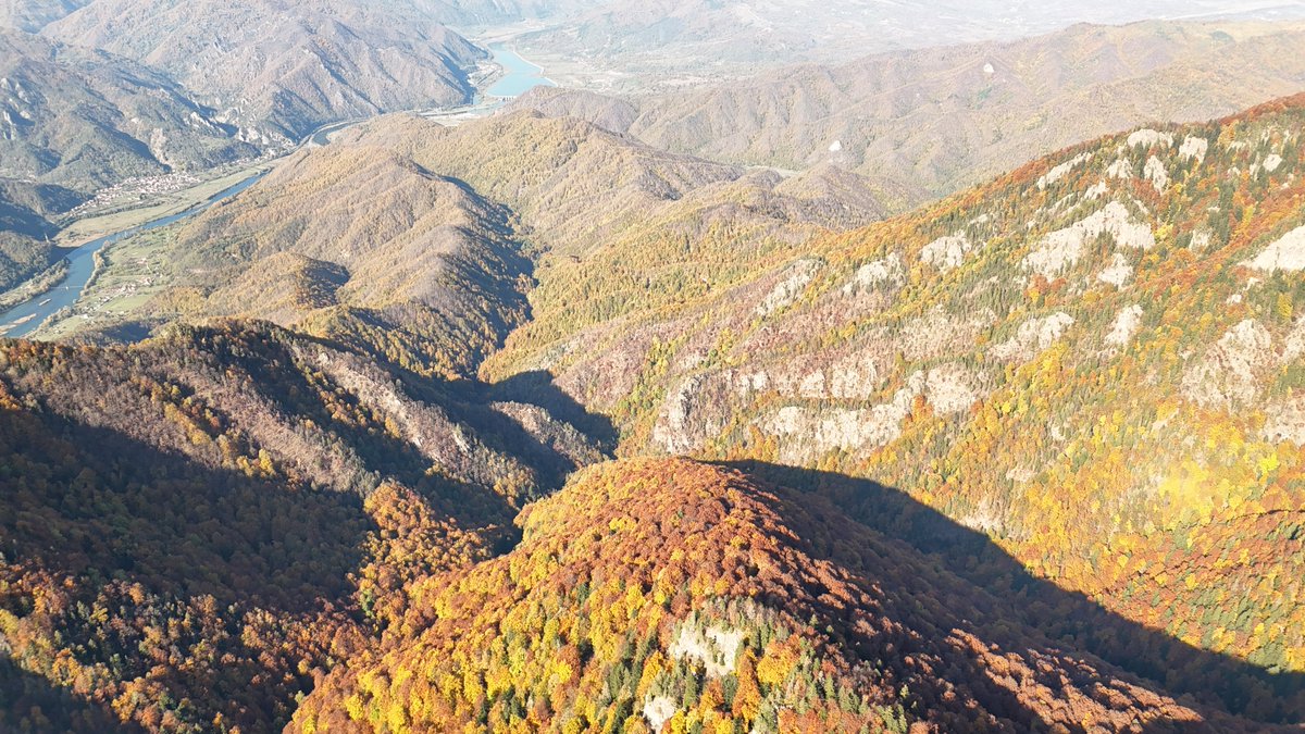 RNP_Romsilva's tweet photo. Imagini de toamnă din #pădurile Parcului Național Cozia din cadrul #Romsilva 

Beautiful #autumncolors in #forests of Cozia National Park, in #Romania 

#forestry #forest #autumnvibes #păduri #pădure #nature #NaturePhotography #NatureLove #naturelovers #NatureTherapy #natura https://t.co/jcXNEF2vTE