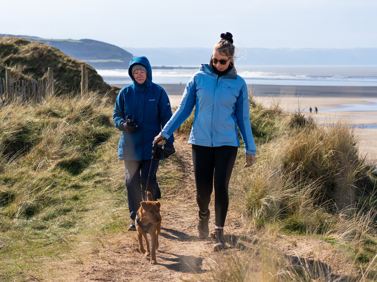 Visit Devon tweet media