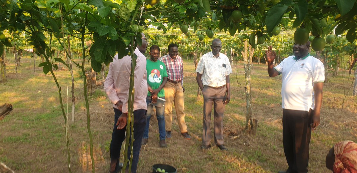 Max O. Olupot tweet media