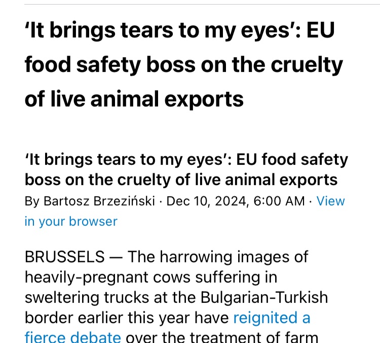 Camille Perrin tweet media