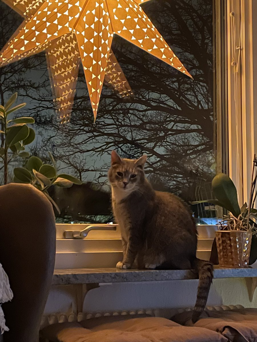 Tisdag 10/12. Nobeldagen dagen till ära.
Pysen glittrar lite extra idag.

Själv ska jag prata meden direktör om chefers arbetsmiljö.

Ha en fin dag vänner! #visiongöteborg #vision_chef #arbetsmiljö