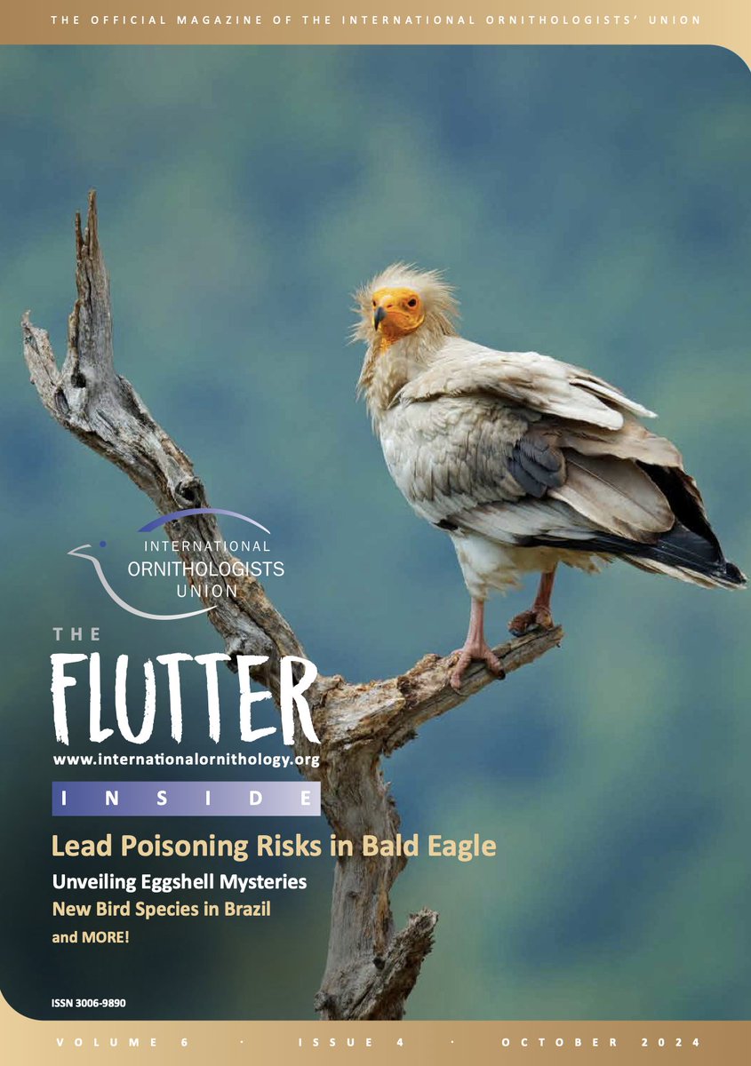pixeldiversity's tweet photo. #Ornithology: We just published the lates issue of the "flutter" vol. 6(4): Newsletter of the International Ornithologist's Union (#IOU) https://t.co/CKnnF32dMe https://t.co/VIAAeAnrzO