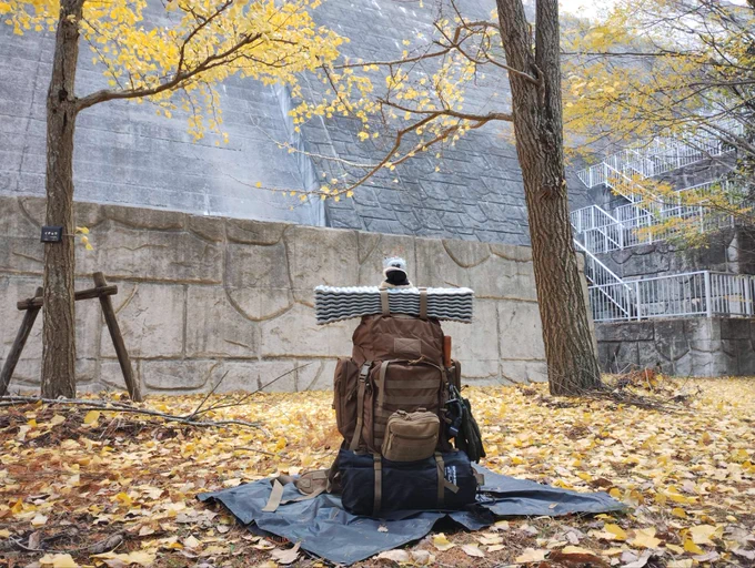 キャンプ地に感謝!「かえるのだ」 