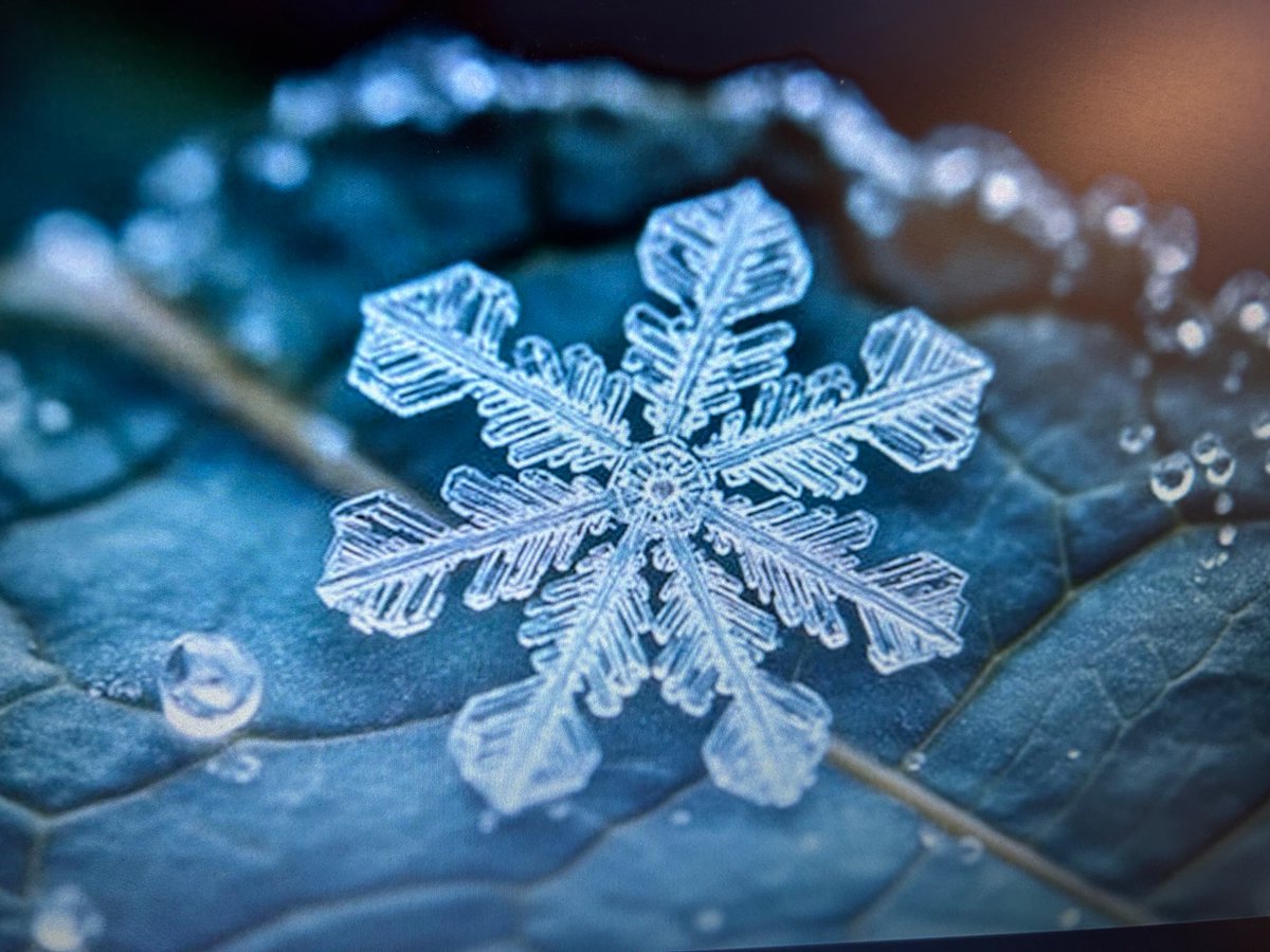 InclusionBPPS's tweet photo. We are so excited for our Winter Concert @BrunswickParkPS!
The pupils have worked really hard on their sparkling performances! ❄️ https://t.co/8Mi1EW3znK