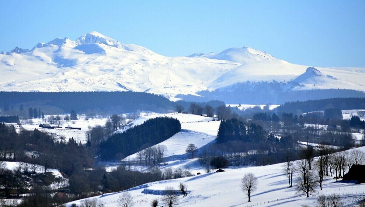ici Pays d'Auvergne tweet media