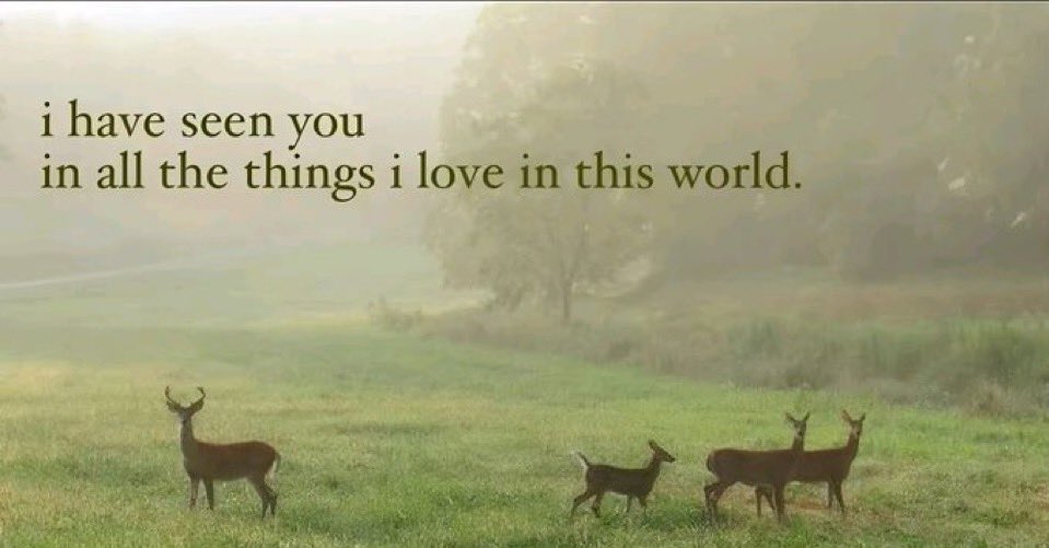 TheBirdOfSoul's tweet photo. https://t.co/6GoDlwPl1l