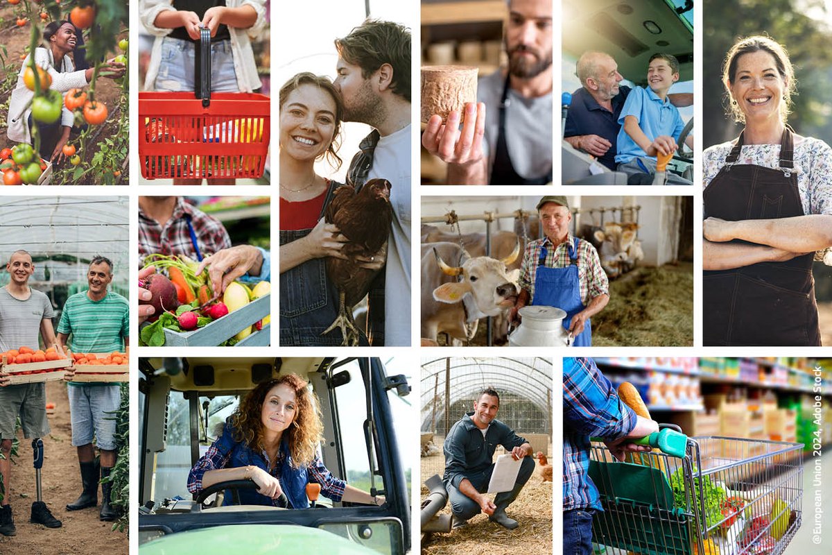 EUAgri's tweet photo. The 🇪🇺Commission presents 2 new proposals to improve relationships among stakeholders in the agri-food supply chain to
🔹strengthen farmers’ position & restore trust between all actors in the chain
🔹better combat cross border #UTPs
Read more 👉https://t.co/3S8DmM667Y https://t.co/CAPfdDAIF5