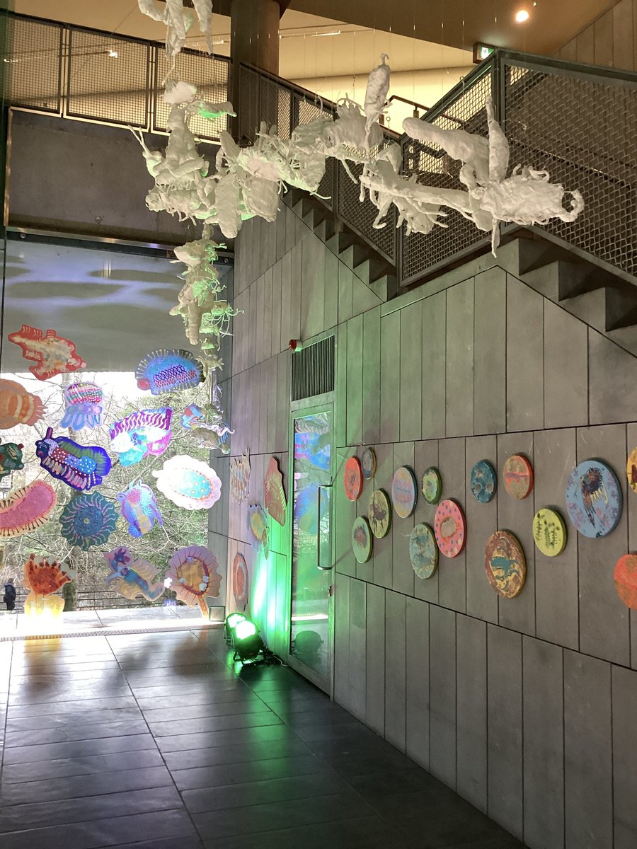 Fossil Freaks is a collection of artworks created by 5th class pupils at Gaelscoil Pheig Sayers and North Presentation Primary School and by 4th class pupils at South Lee Education Together and Bunscoil Críost Rí. 

Come and see it in the foyer! ☺️✨