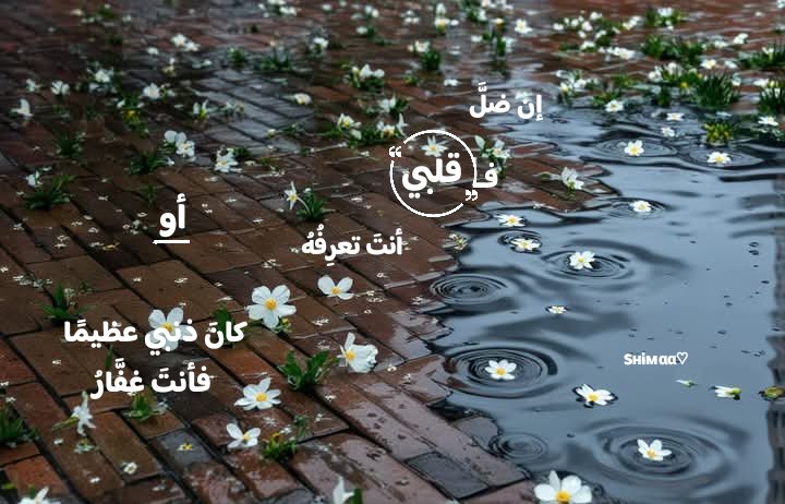 ShimaaAhmed1311's tweet photo. "إن ضلَّ قلبي فقلبي أنتَ تعرِفُهُ
أو كانَ ذنبي عظيمًا فأنتَ غفَّارُ" https://t.co/6q9NEbmqnj