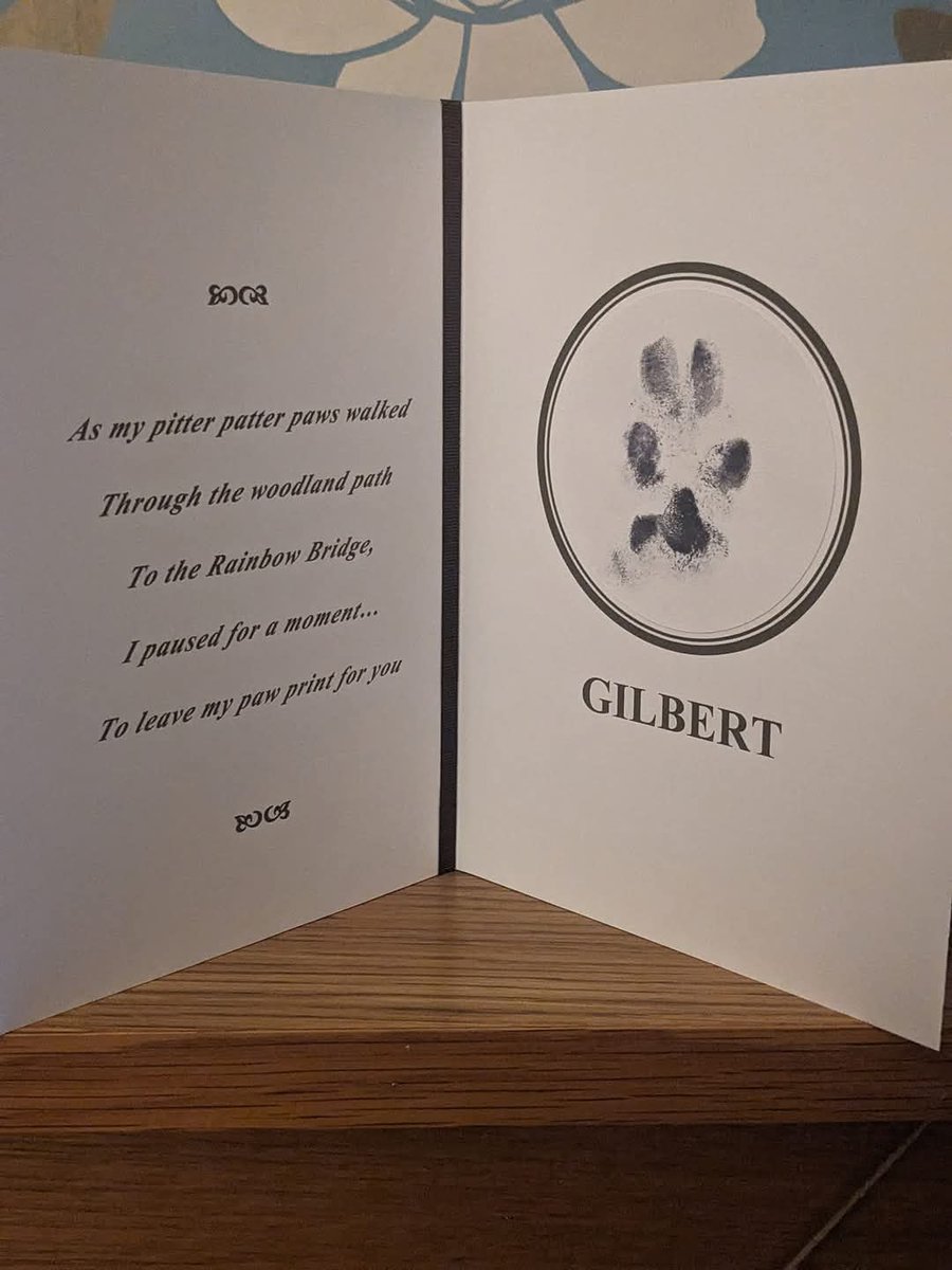 OurGilbert1960's tweet photo. We brought Gilbert home last night. He's left a big vacuum in our lives as life is just not the same without him being at my side https://t.co/kEiphm8vDK