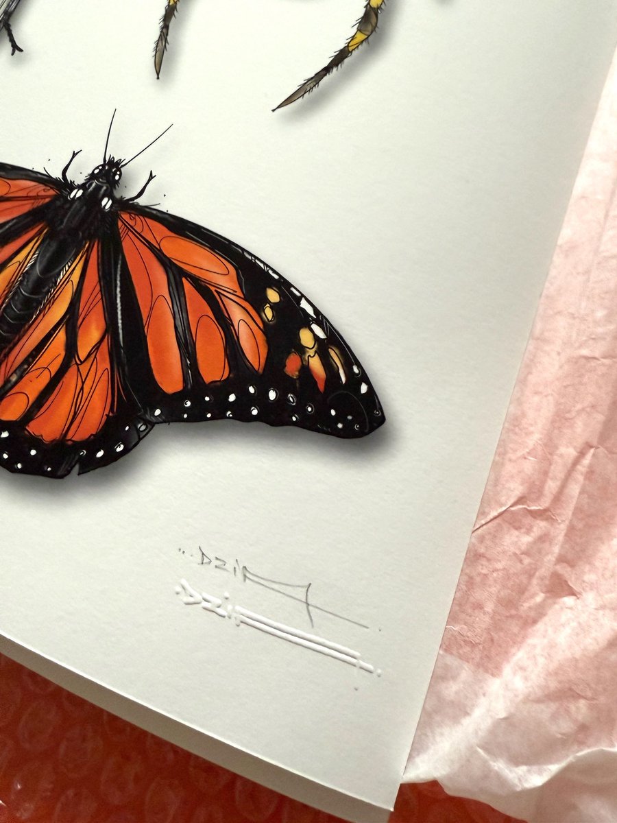 DZIA'S ENTOMOLOGY CABINET

Fine Art Print on paper "Hahnemühle Photo Rag Bright White - 310 gram"
Size 60x60 cm ( 23,62 inch x 23,62 inch)
Signed and numbered by the artist 
Edition of 15 + 3 AP
Available at shop.dzia.be 
Frame not included