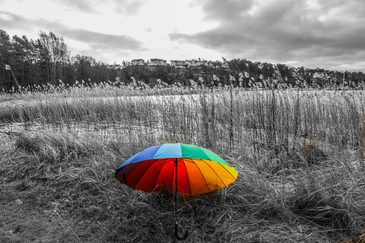 Annabel_ai's tweet photo. Do you dream in colour or black &amp; white? 🌙 Interpretr’s Dream Visualization feature helps you explore your dreams in a whole new way. 👇

🖇️ https://t.co/Pb3DzUDyWH https://t.co/z8UlOkj4tu