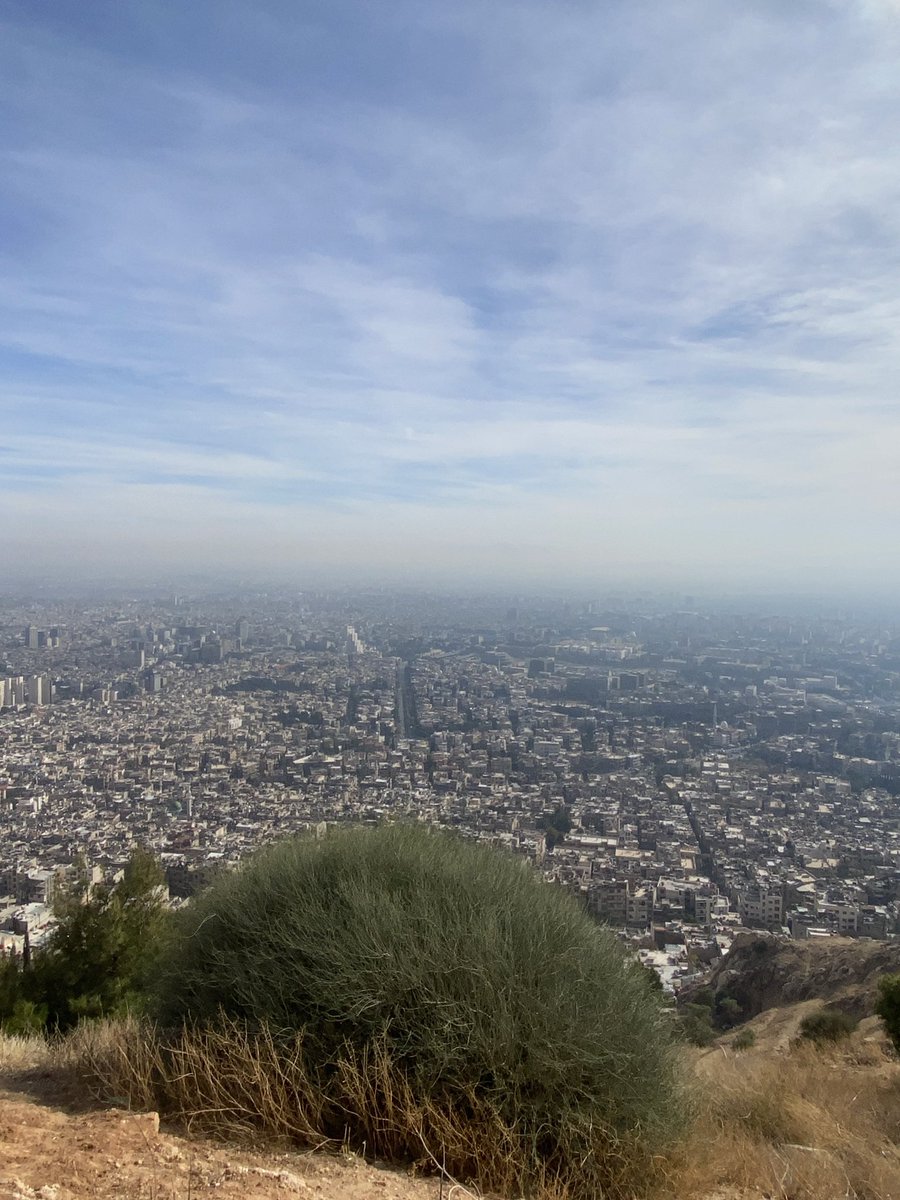 J48 🇸🇾 tweet media