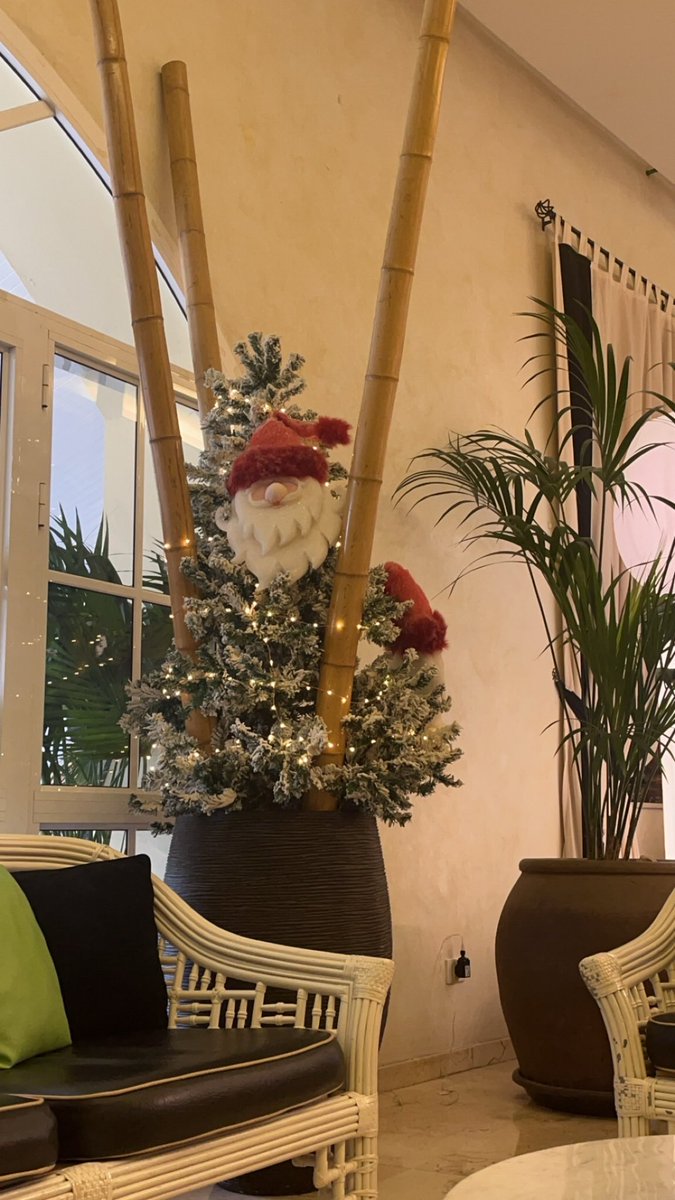 Christmas in the Reef 🎄