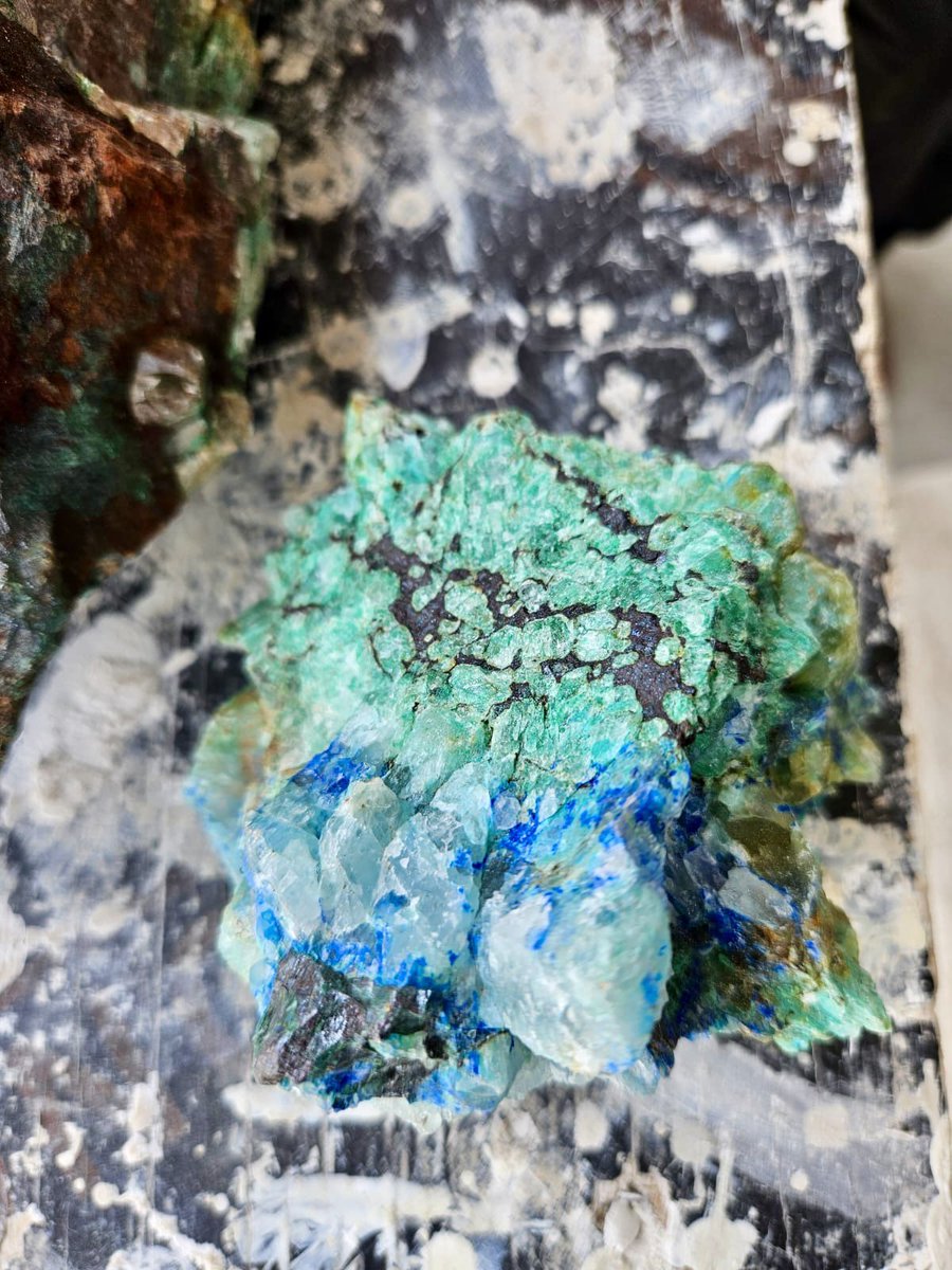 JB_MiningAfrica's tweet photo. High grade run of mine copper ore at Marula Mining’s Kinusi Copper Mine.  

High grade cuprite, bornite and malachite copper mineralisation. 

A very very heavily mineralised copper system. 

@MarulaPlc #MARU #Copper #HighGrade https://t.co/iKzlhs7LUR