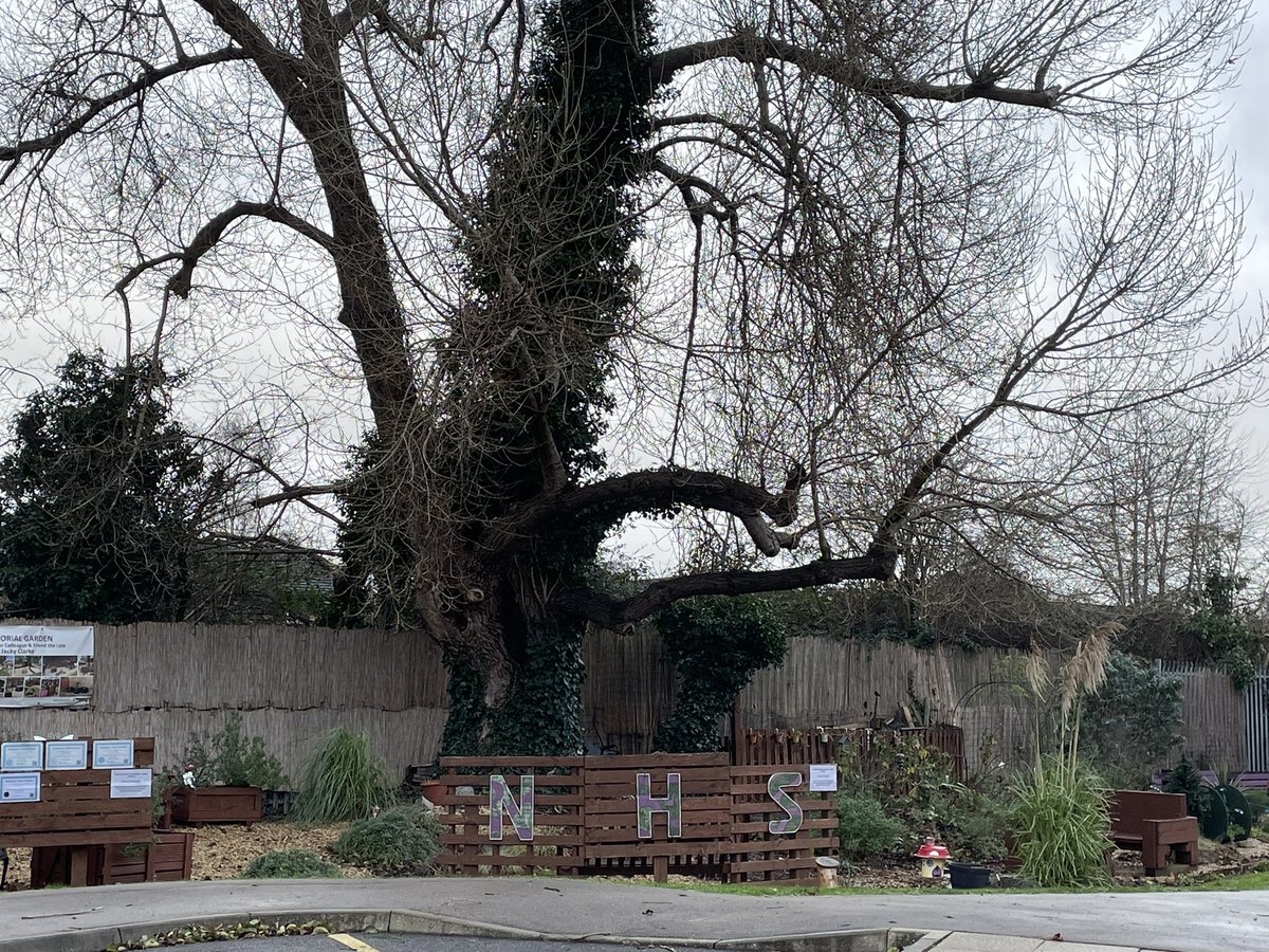 OGWL's tweet image. 2 out of the 4 arches destroyed in the storm