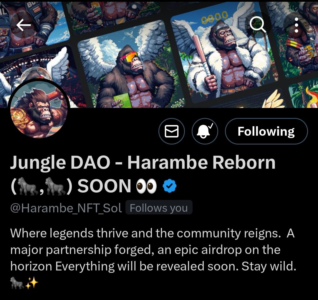 Harambe_NFT_Sol's tweet photo. When we're about to drop the BIG SURPISE, we won't tell anyone. 

But there will be signs 👀

Have you noticed it fam? 🦍🍌
#HARAMBE #BigSurprise https://t.co/ne861LEFY2