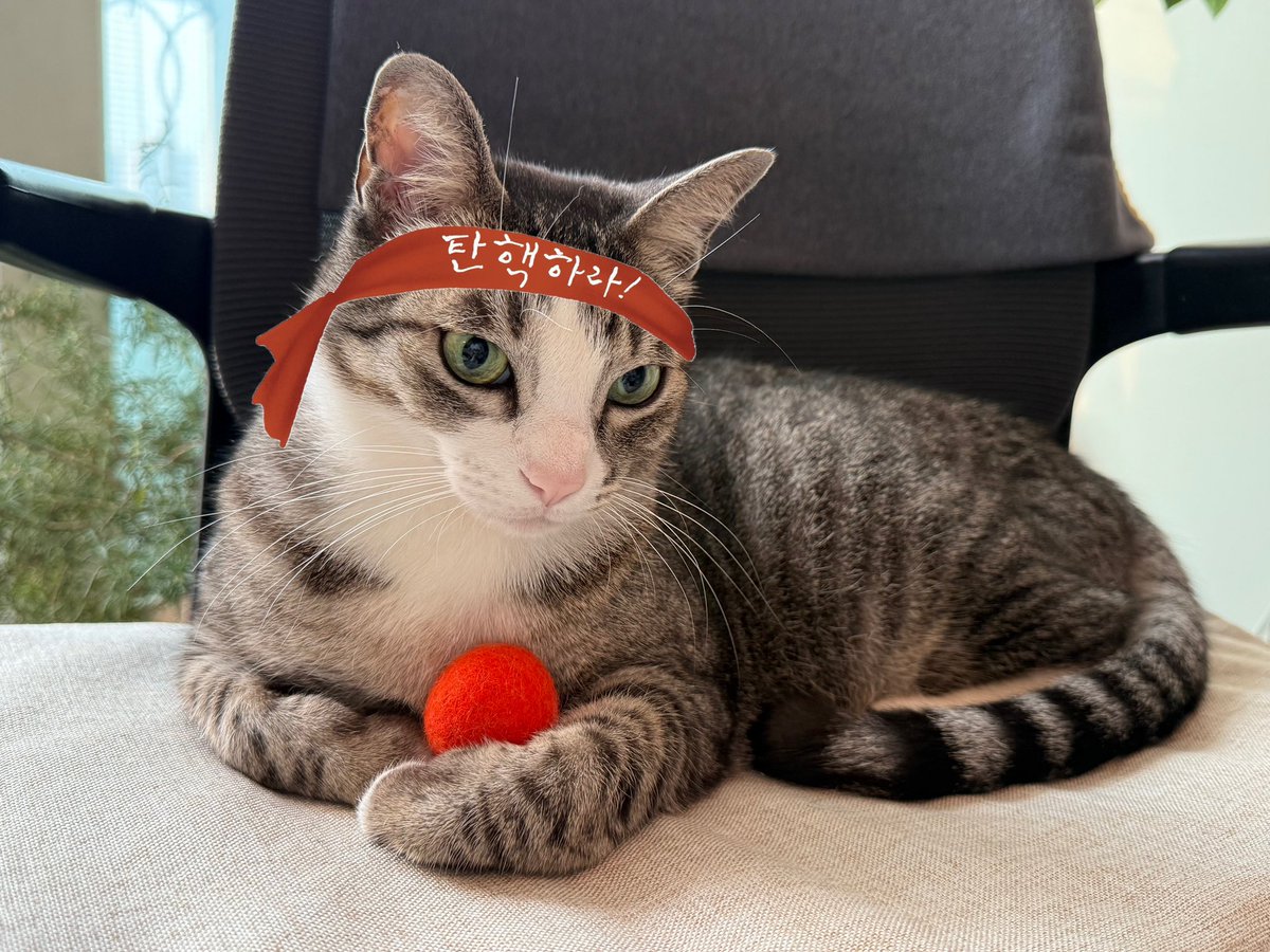 어서어서 탄핵하라!