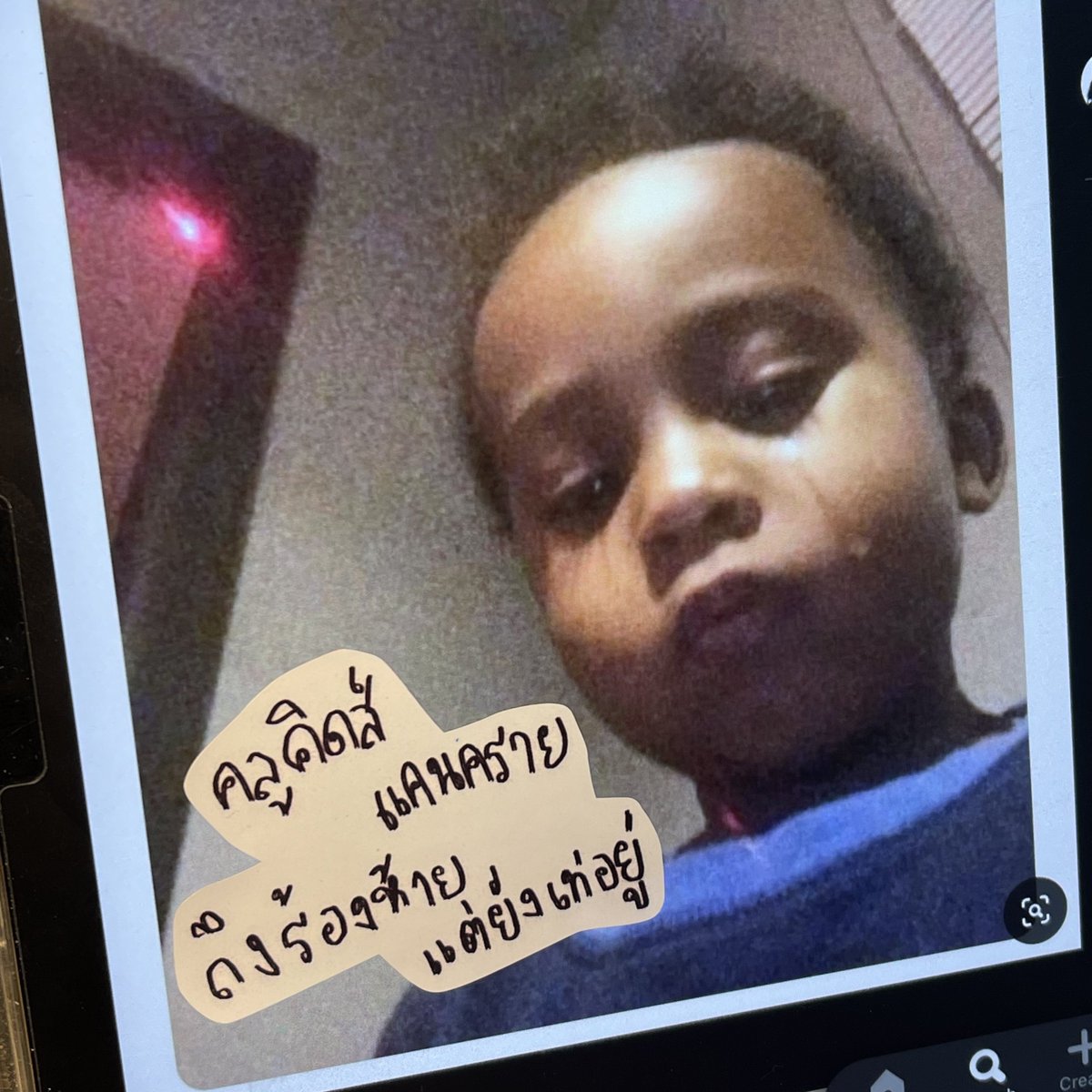 norr tweet media