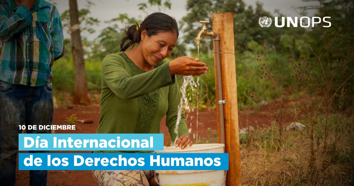 RobertCarrilloC's tweet photo. Hoy 10 de diciembre recordamos el Día Internacional de los Derechos Humanos 🌎 Nuestros esfuerzos para poner fin a la violencia contra las mujeres, lograr la igualdad, y empoderar a todas las mujeres y las niñas deben continuar.  
#16días #ÚNETE #NoHayExcusa https://t.co/8GMc1Xr47Y