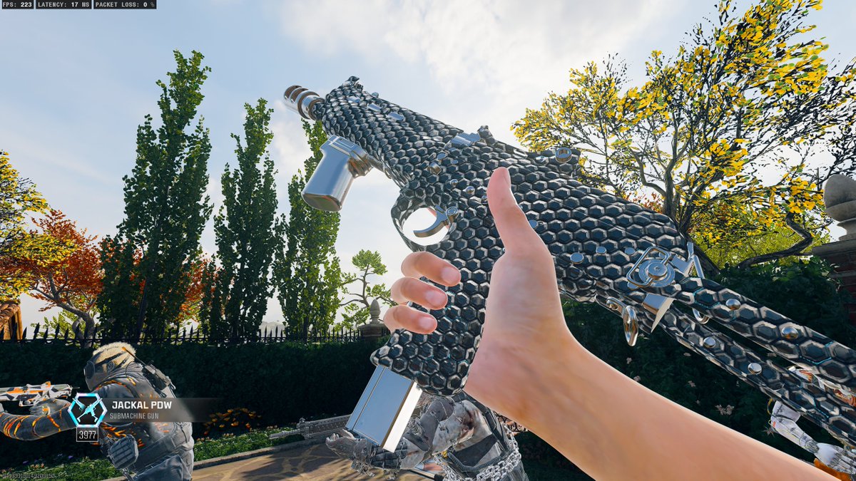 Best camo in the game ✅