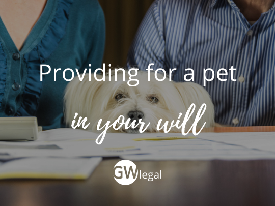 If you are a pet owner, you should consider the most appropriate way to ensure they are cared for after your death by seeking #advice from our #wills &amp; #probate experts 🐶😺📝➡️ ow.ly/YPmv50Unlw6

#UKBizLunch #LegalAdvice #WillWriting #estateplanning #will #pets #petowner